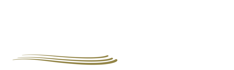 Lumacon Accolade Group Logo
